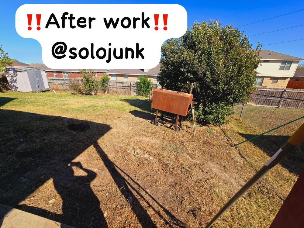 After: cleared backyard, mowed and debris removed