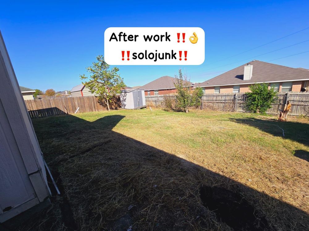 After: cleared backyard, weeds and brush removed
