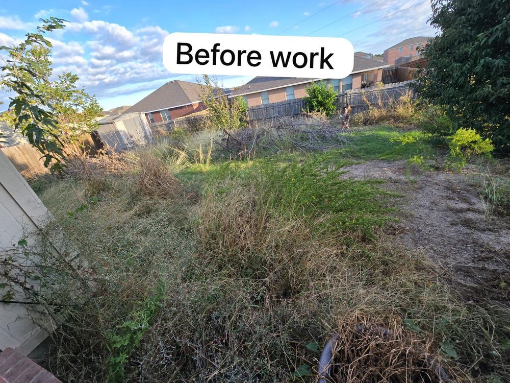 Before: overgrown backyard with tall weeds and brush
